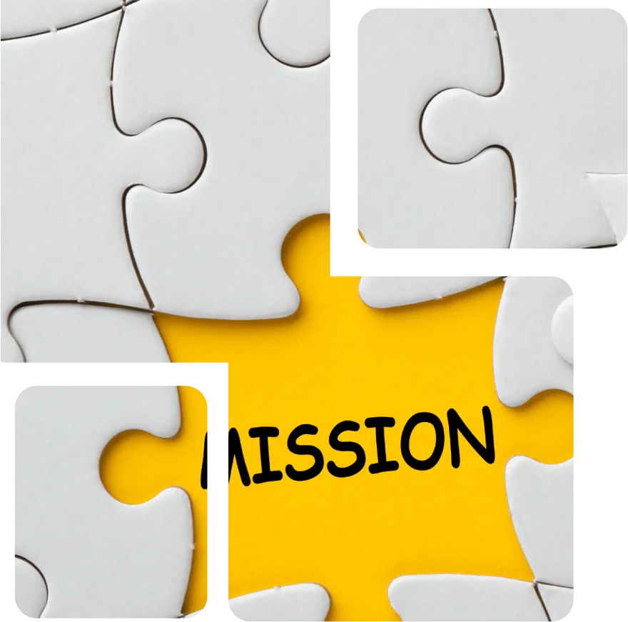 mission section
